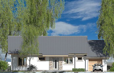Фасад дома EAG-9962-59 Фасад дома EAG-9962-59